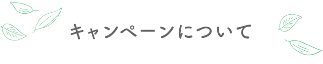 キャンペーンについて